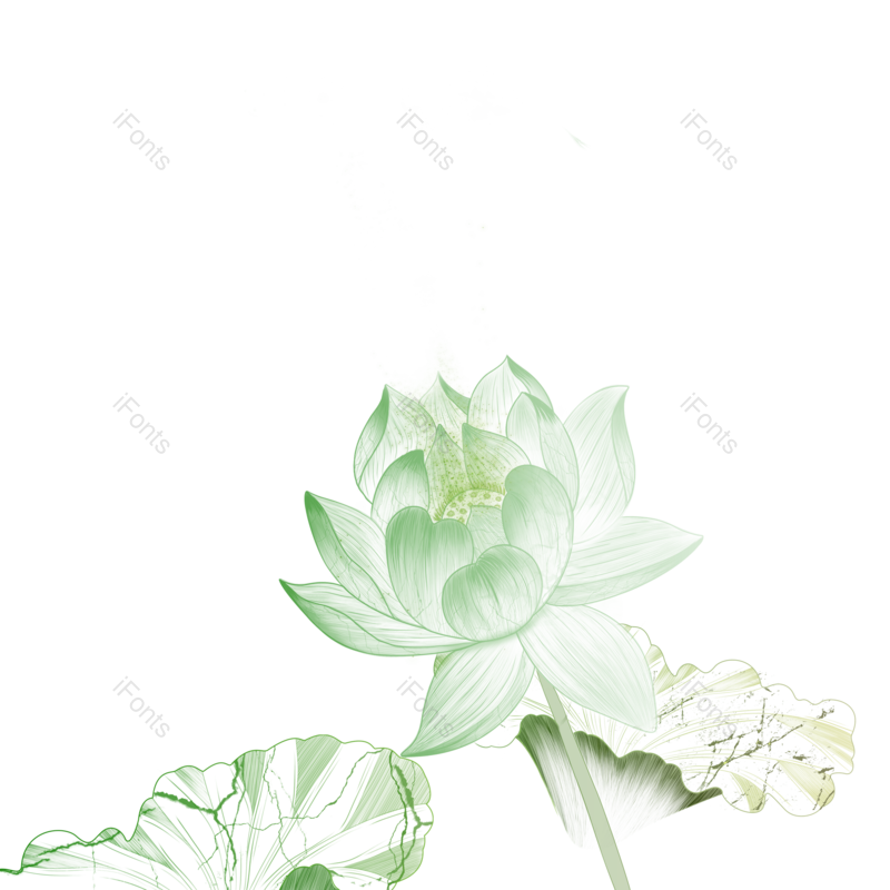 植物素材图片,植物元素,植物装饰PNG,荷叶免抠素材